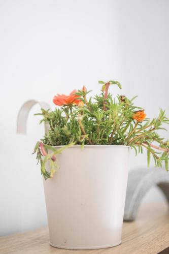 a white potted plant sitting on a table at Aelia studio in Symi