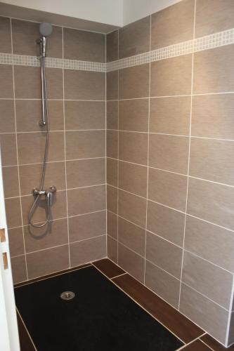 a bathroom with a shower with a black floor at Soleil De Camargue in Le Sambuc