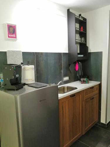 La cuisine est équipée d'un réfrigérateur en acier inoxydable et d'un évier. dans l'établissement Casa degli Scalzi 43, à Naples