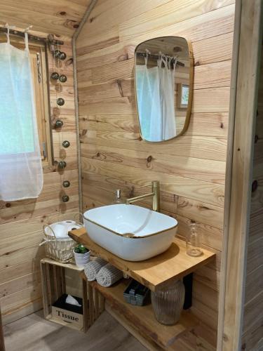 a bathroom with a sink and a mirror at La Roulotte des Bois 