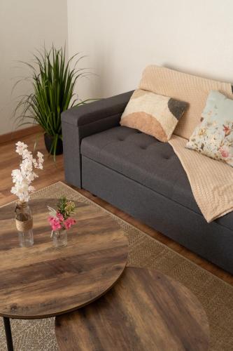 un salon avec un canapé et une table basse dans l'établissement Le Luma, à Colmar