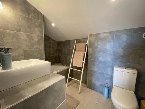 a bathroom with a sink and a toilet and a ladder at T2 Toit-Terrasse Canet - Plage à 5 min à pieds in Canet-en-Roussillon