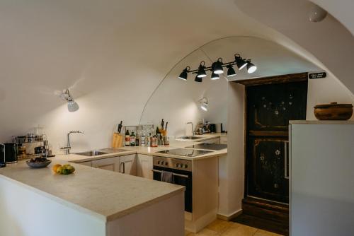 A kitchen or kitchenette at Clusius-Apartment, kleine Wohnung im histor. Stadtkern