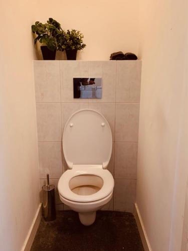 een badkamer met een toilet met planten aan de muur bij ROOM303 in Eindhoven