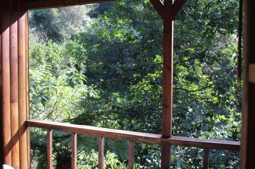 an open window with a view of a tree at Isikhoma-Khoma in Hilton