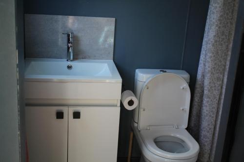 a small bathroom with a sink and a toilet at Isikhoma-Khoma in Hilton