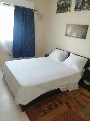 Photo de la galerie de l'établissement Chambre dans Appartement à Niort, à Niort