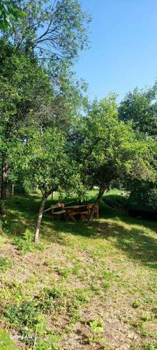 Gallery image of Etno selo -ŠAPAT- in Šavnik