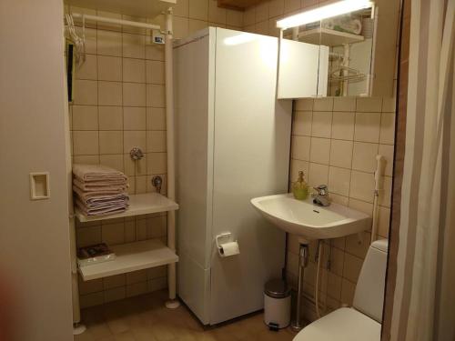 a small bathroom with a sink and a toilet at Rivitalon huoneisto Tahkolla in Tahkovuori