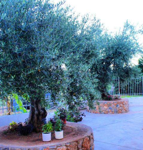 Κήπος έξω από το SUNSET Luxury Accommodation