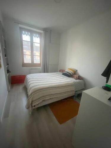 un petit lit dans une chambre avec une fenêtre dans l'établissement Mâcon • T2 St Vincent • HostisY, à Mâcon