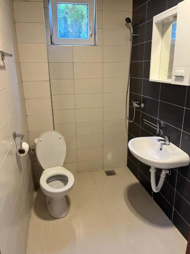 łazienka z toaletą i umywalką w obiekcie Apartman DAN w mieście Bigova