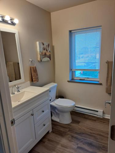 a bathroom with a toilet and a sink and a window at Burlington Getaway in Burlington