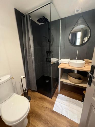 a bathroom with a toilet and a shower and a sink at TRÈS CHARMANT DUPLEX ROTONDE*WIFI*CLIM*SMART TV in Aix-en-Provence