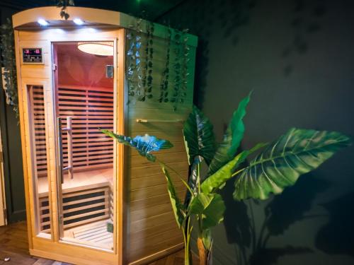 una pianta seduta accanto a una stanza con stufa di Jungle Urbain- Sauna - Ciné - Hamac - Hyper centre ad Amiens