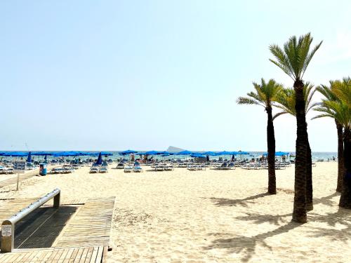 a beach with palm trees and chairs and a pier at Paradise Ducado Benidorm Vistas al Mar, Piscina, Parking Gratis y Wifi 4 Persona in Benidorm