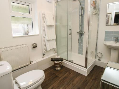 a bathroom with a shower and a toilet and a sink at Clematis Cottage in Shrewsbury