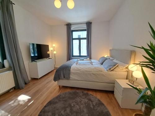 een slaapkamer met een bed en een televisie. bij Gemütliche helle Ferienwohnung in Dresden
