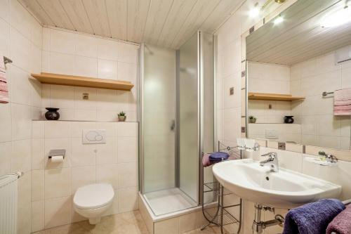 uma casa de banho com um chuveiro, um lavatório e um WC. em Mühlanderhof Apt Piz Lad em Resia
