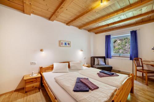 um quarto com uma cama, uma cadeira e uma janela em Mühlanderhof Apt Piz Lad em Resia