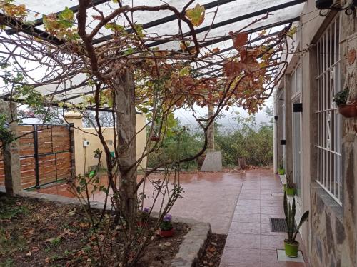 a courtyard of a house with a pergola at Departamento Independiente Quitilipi in San Salvador de Jujuy