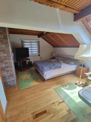 um quarto com uma cama e uma televisão num quarto em Vikendica Majevicka Oaza em Tuzla