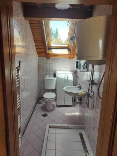 a small bathroom with a toilet and a sink at Vikendica Majevicka Oaza in Tuzla