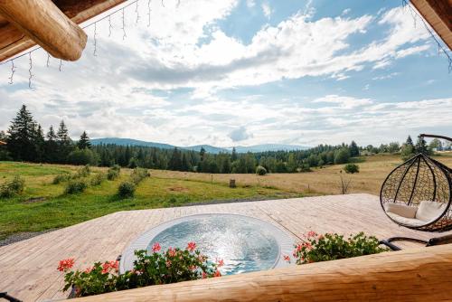 a view of a patio with a bowl of water on a wooden table at Rustic Chalet in Călăţele