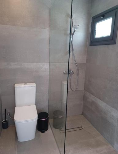 a bathroom with a toilet and a glass shower at Terrazza Suites in Paphos City
