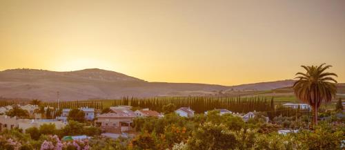 a village with a palm tree and the sunset at Grand Vista Boutique Hotel And Spa in Yuval