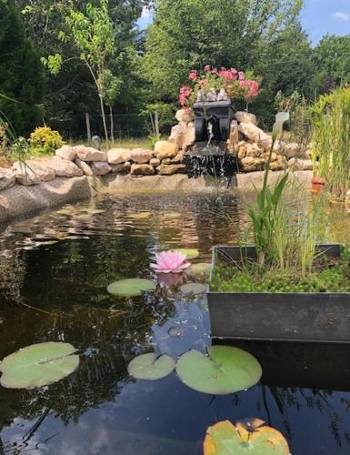 um lago com uma fonte num jardim em Au chemin des Randonneurs em Nibelle