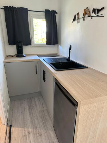 a kitchen with a sink and a counter top at Studio SPA Balnéo - Jardin privé in Maureilhan-et-Raméjan