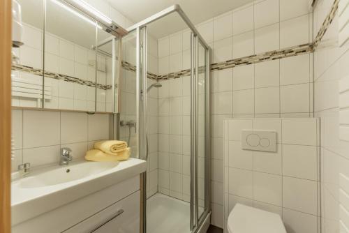 a bathroom with a shower and a sink and a toilet at Apparthaus Taxegger in Haus im Ennstal