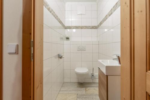 a bathroom with a toilet and a sink at Apparthaus Taxegger in Haus im Ennstal