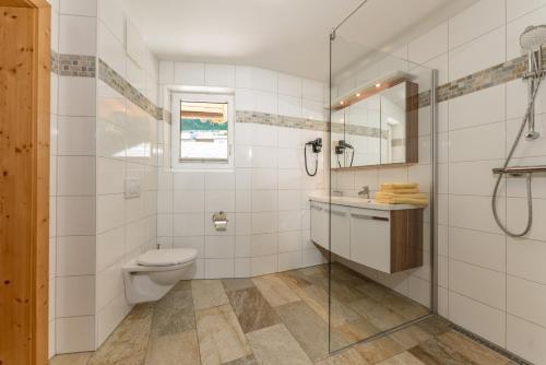 a bathroom with a toilet and a sink and a shower at Apparthaus Taxegger in Haus im Ennstal