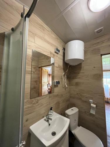 a bathroom with a sink and a toilet and a mirror at Gród Piasta in Gąsawa