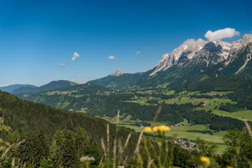 a view of a valley with mountains in the background at Apparthaus Taxegger in Haus im Ennstal