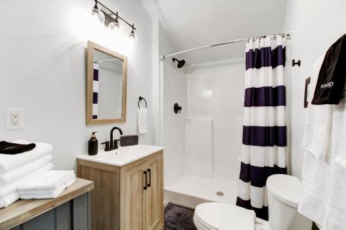 a bathroom with a sink and a toilet and a shower at Creekside Cottage in Hot Springs