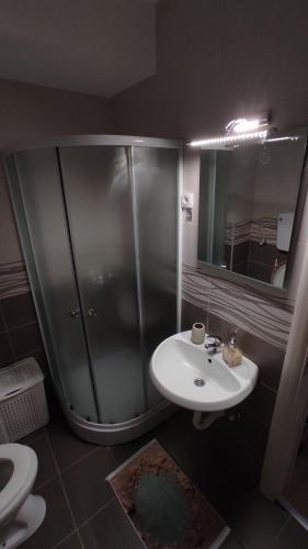 a bathroom with a shower and a white sink at Studio 13 in Kragujevac