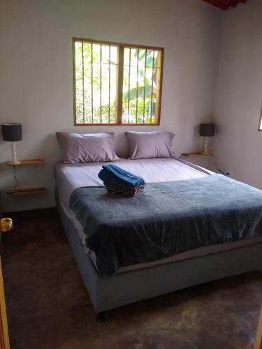 a bed with a basket on it in a bedroom at Bosque Azul Picaflor in Minca