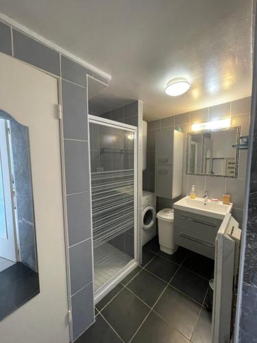 une salle de bain avec une douche, des toilettes et un lavabo dans l'établissement Agréable 2 pièces en ville comme à la campagne, à Nice