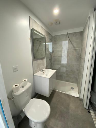 une salle de bain avec toilettes, lavabo et douche dans l'établissement Appartement 10pers. à Vallères, à Vallères