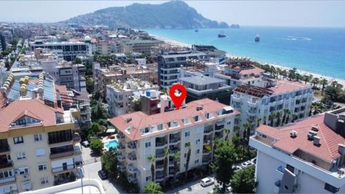 Jasmine Kleopatra Apt