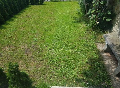 a yard with green grass next to a bench at Trg Mozirje in Mozirje