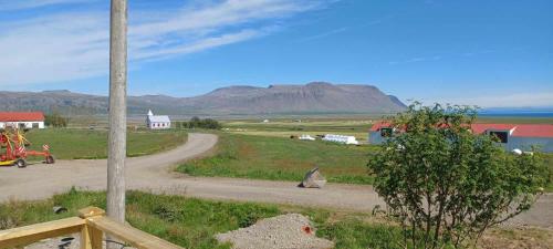 a road in a field with a mountain in the background at Hagi 2 Road 62 in Patreksfjörður