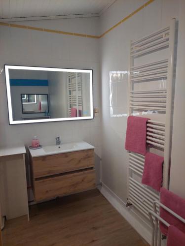 a bathroom with a sink and a mirror at Detente au pays de Lauzun in Saint-Colomb-de-Lauzun