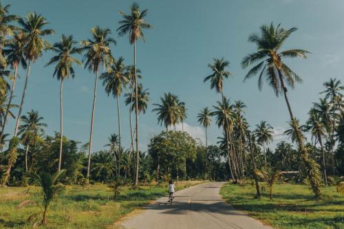 Landskap semula jadi dekat dengan resort