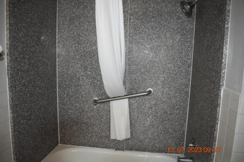 Executive Inn NEWLEY RENOVATED في Baker: ستارة الدش في الحمام مع حوض الاستحمام
