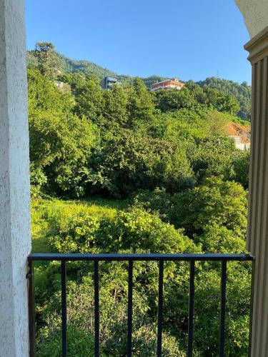 a view from a balcony of a hill with trees at Neli Guesthouse in Gonio
