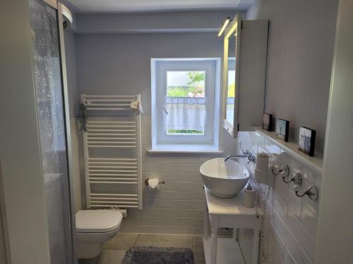 een badkamer met een wastafel, een toilet en een raam bij Ferienwohnung Düne mit Kamin und 2 Bädern in Boltenhagen in Boltenhagen